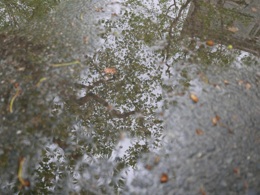 Memory and Imagination: Meeting Ge Fei and Bi&nbsp;Feiyu