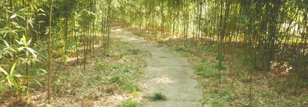 Spatiality of Emotion&nbsp;Review