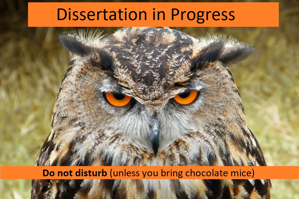 grumpy phd owl