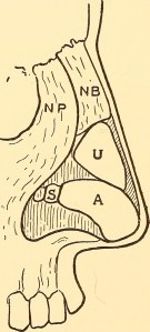 14761272204_9b31c9166b_b