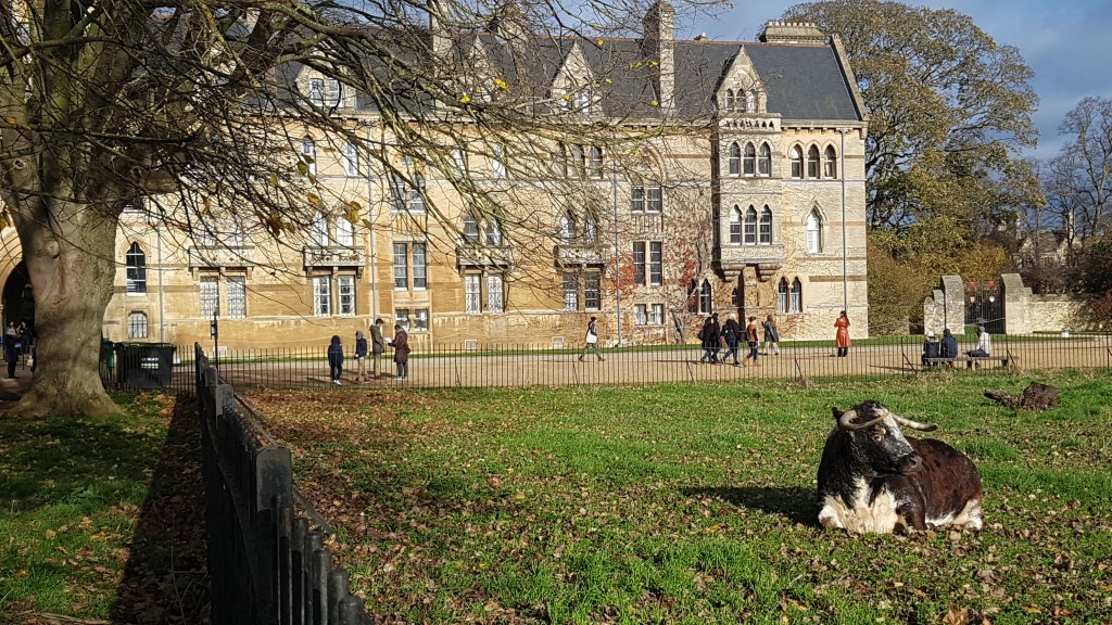 Hot Noise and Emotive Scents: Review of Sensing&nbsp;China