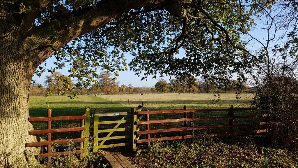 Oxford Plants and&nbsp;People