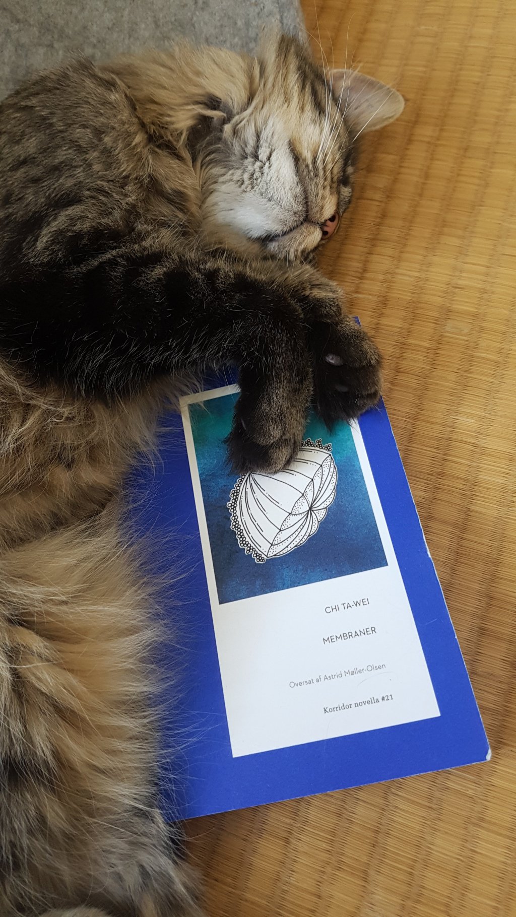 Translating Membraner by Chi&nbsp;Ta-wei