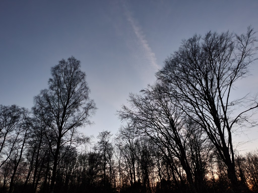 Speculative Translation