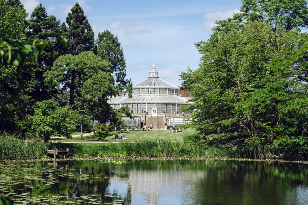 Plant Fever: Literary Houseplant&nbsp;Partners